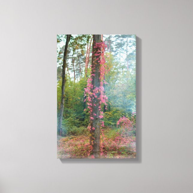 Forest mood  -  canvas print (Front)