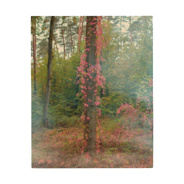 Forest mood  poster (Front)