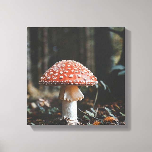 Forest Mushroom Canvas Print (Front)