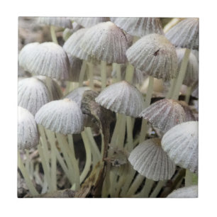 Forest Mushrooms Ceramic Tile