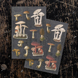 Forest Mushrooms Cottage Black Ephemera Decoupage Tissue Paper