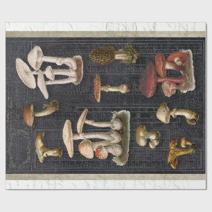 Forest Mushrooms Cottage Ephemera Black Decoupage Wrapping Paper