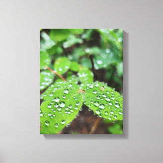 Forest Nature Canvas Print