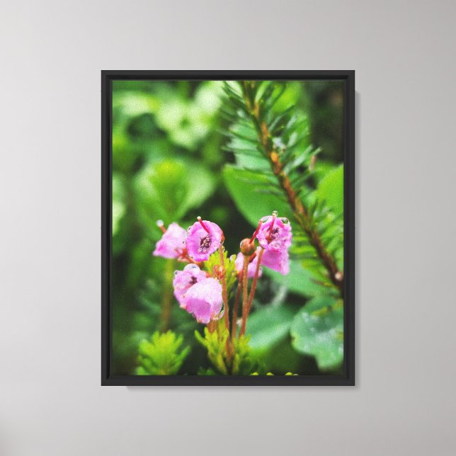 Forest Nature Canvas Print (Front)