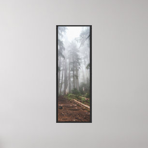 Forest Nature Canvas Print