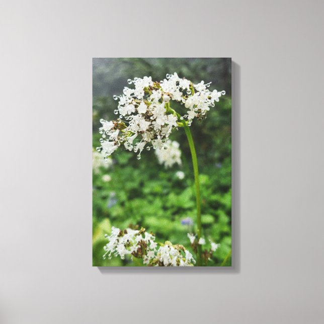 Forest Nature Canvas Print (Front)