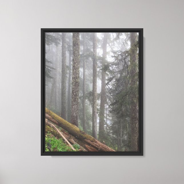 Forest Nature Canvas Print (Front)