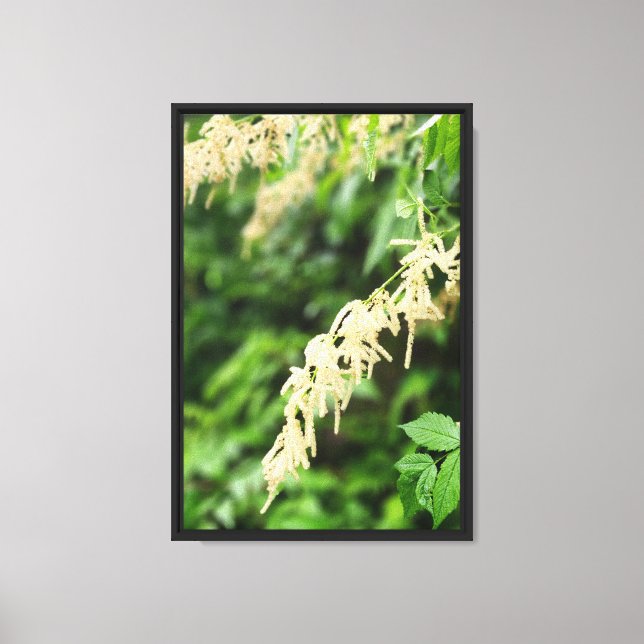 Forest Nature Canvas Print (Front)