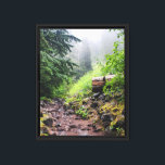 Forest Nature Canvas Print<br><div class="desc">Nature speaks of God's creation, and is so special to me. My husband and I love spending time outdoors, exploring new hiking trails, and worshiping our Creator through praise in nature. This particular photo was taken on the Comet Falls and Van Trump Trailhead in Mount Rainier, during a very misty...</div>
