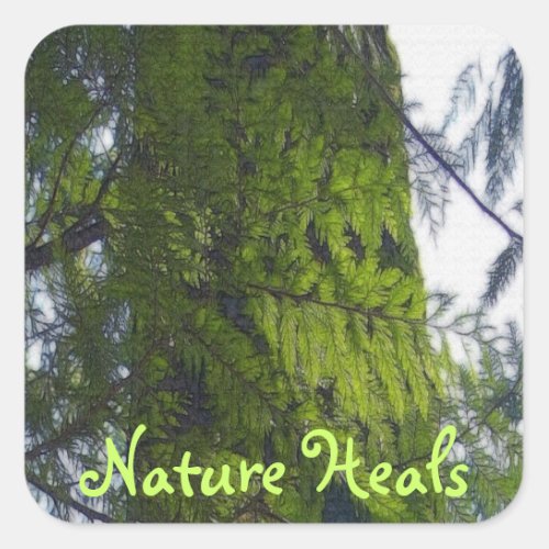 Forest Nature Heals Motivational Stickers