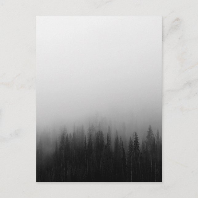 Forest Nature Landscape Scene Foggy Mystical Postcard (Front)