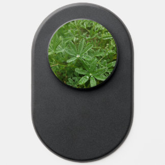 Forest Nature PopSocket