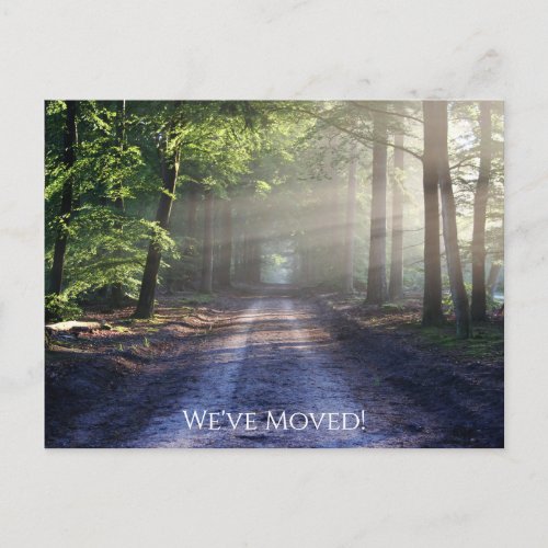 Forest Nature Woods Mountains Weve Moved Postcard