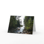 Forest near Hunters Beach at Acadia National Park Card