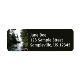 Forest near Hunters Beach at Acadia National Park Label