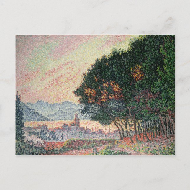 Forest near St. Tropez, 1902 Postcard (Front)