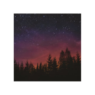 Forest Night Sky Nature with Starry Woodland Scene Wood Wall Art
