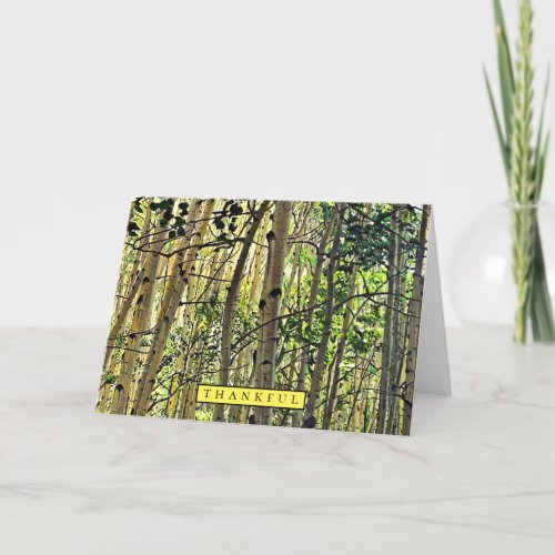 Forest of Aspens Trees Holiday Card