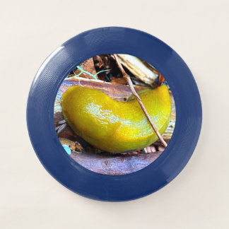 Forest of Hope Frisbee