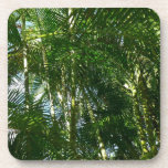 Forest of Palm Trees Tropical Nature Beverage Coaster