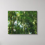 Forest of Palm Trees Tropical Nature Canvas Print