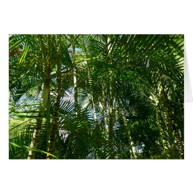 Forest of Palm Trees Tropical Nature Cards (Front Horizontal)
