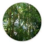 Forest of Palm Trees Tropical Nature Ceramic Knob