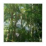 Forest of Palm Trees Tropical Nature Ceramic Tile