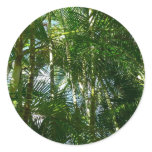 Forest of Palm Trees Tropical Nature Classic Round Sticker