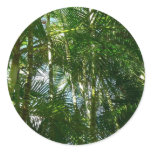 Forest of Palm Trees Tropical Nature Classic Round Sticker