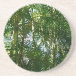 Forest of Palm Trees Tropical Nature Drink Coaster