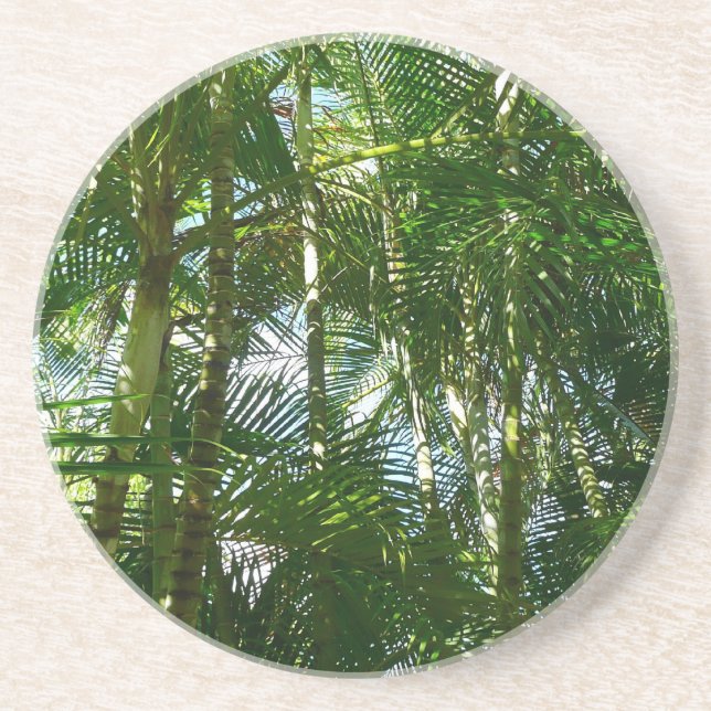 Forest of Palm Trees Tropical Nature Drink Coaster (Front)