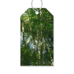 Forest of Palm Trees Tropical Nature Gift Tags