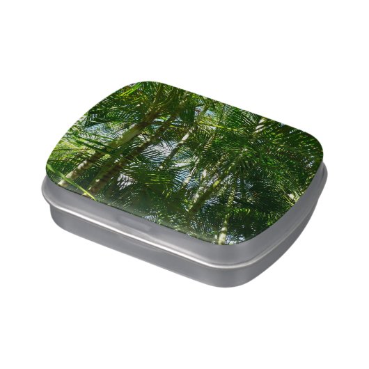 Forest of Palm Trees Tropical Nature Jelly Belly Candy Tin (Side)