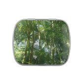 Forest of Palm Trees Tropical Nature Jelly Belly Candy Tin (Top)