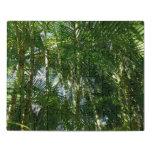 Forest of Palm Trees Tropical Nature Jigsaw Puzzle