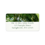 Forest of Palm Trees Tropical Nature Label