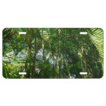Forest of Palm Trees Tropical Nature License Plate