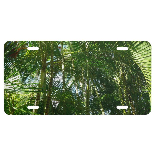 Forest of Palm Trees Tropical Nature License Plate (Front)