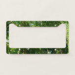 Forest of Palm Trees Tropical Nature License Plate Frame