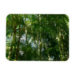 Forest of Palm Trees Tropical Nature Magnet