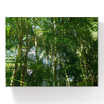 Forest of Palm Trees Tropical Nature Paperweight