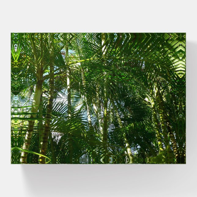 Forest of Palm Trees Tropical Nature Paperweight (Front)
