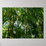 Forest of Palm Trees Tropical Nature Poster