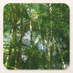 Forest of Palm Trees Tropical Nature Square Paper Coaster