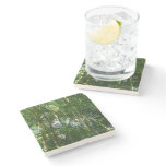 Forest of Palm Trees Tropical Nature Stone Coaster