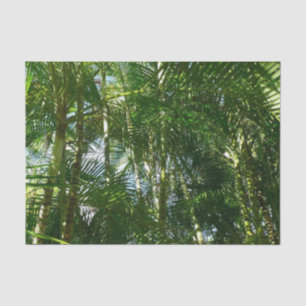 Forest of Palm Trees Tropical Nature Tissue Paper