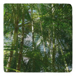 Forest of Palm Trees Tropical Nature Trivet