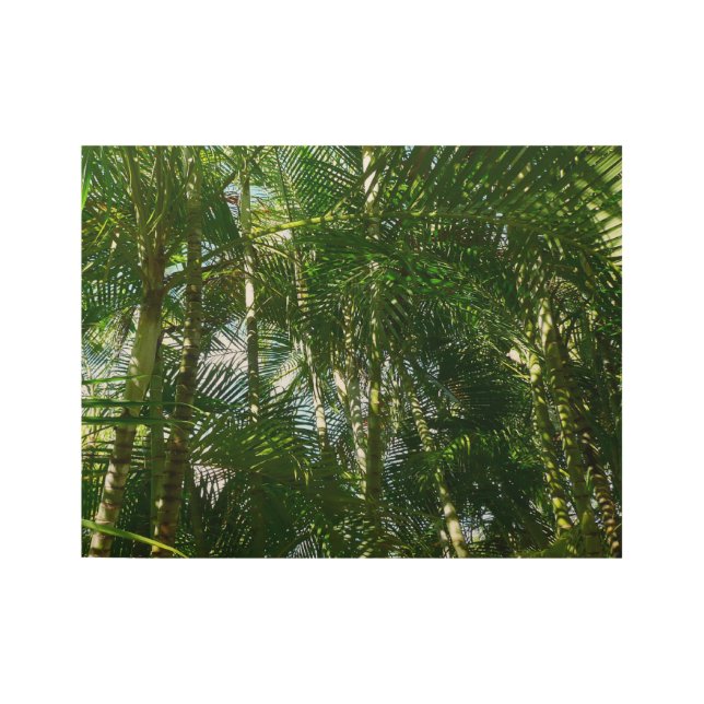 Forest of Palm Trees Tropical Nature Wood Poster (Front)