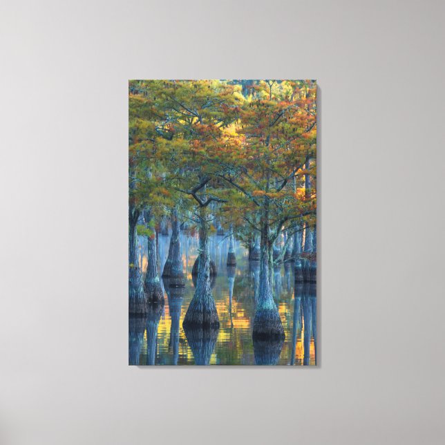 Forest of Pond Cypress Trees Canvas Print (Front)